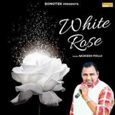 White Rose