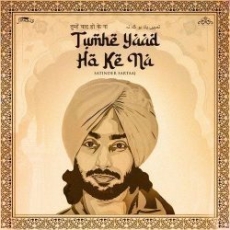 Tumhe Yaad Ho Ke Na