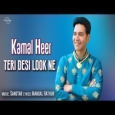 Teri Desi Look Ne